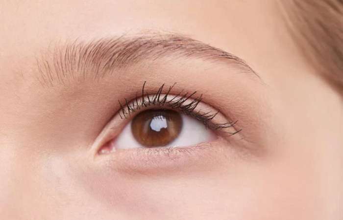 eyebrow thinning vs eyebrow loss