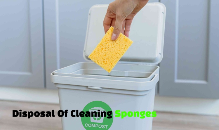 Disposal Of Cleaning Sponges