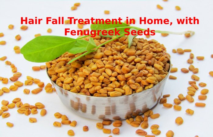 Hair Fall Treatment in Home, with Fenugreek Seeds