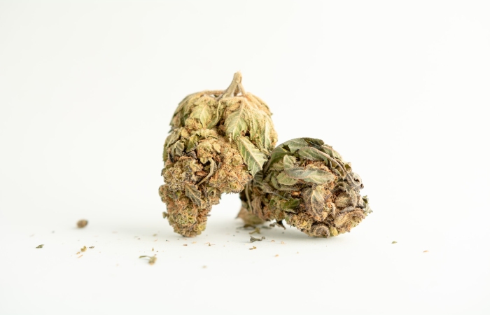CBD Flowers Write For Us
